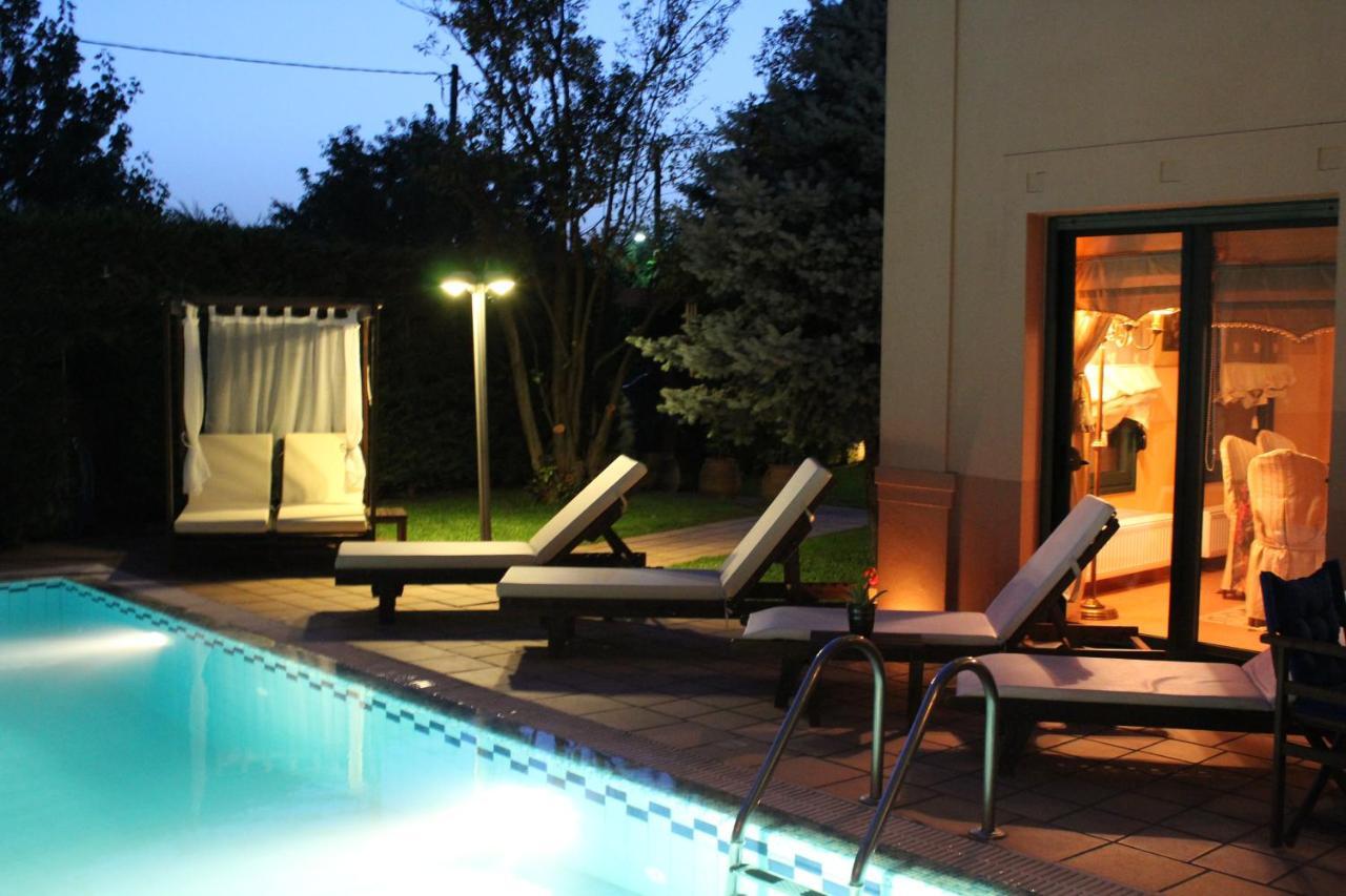 4-Seasons Pool Villa Near Meteora 特里卡拉 外观 照片